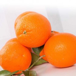 1 X 10 KG NARANJA DE MESA Naranjas