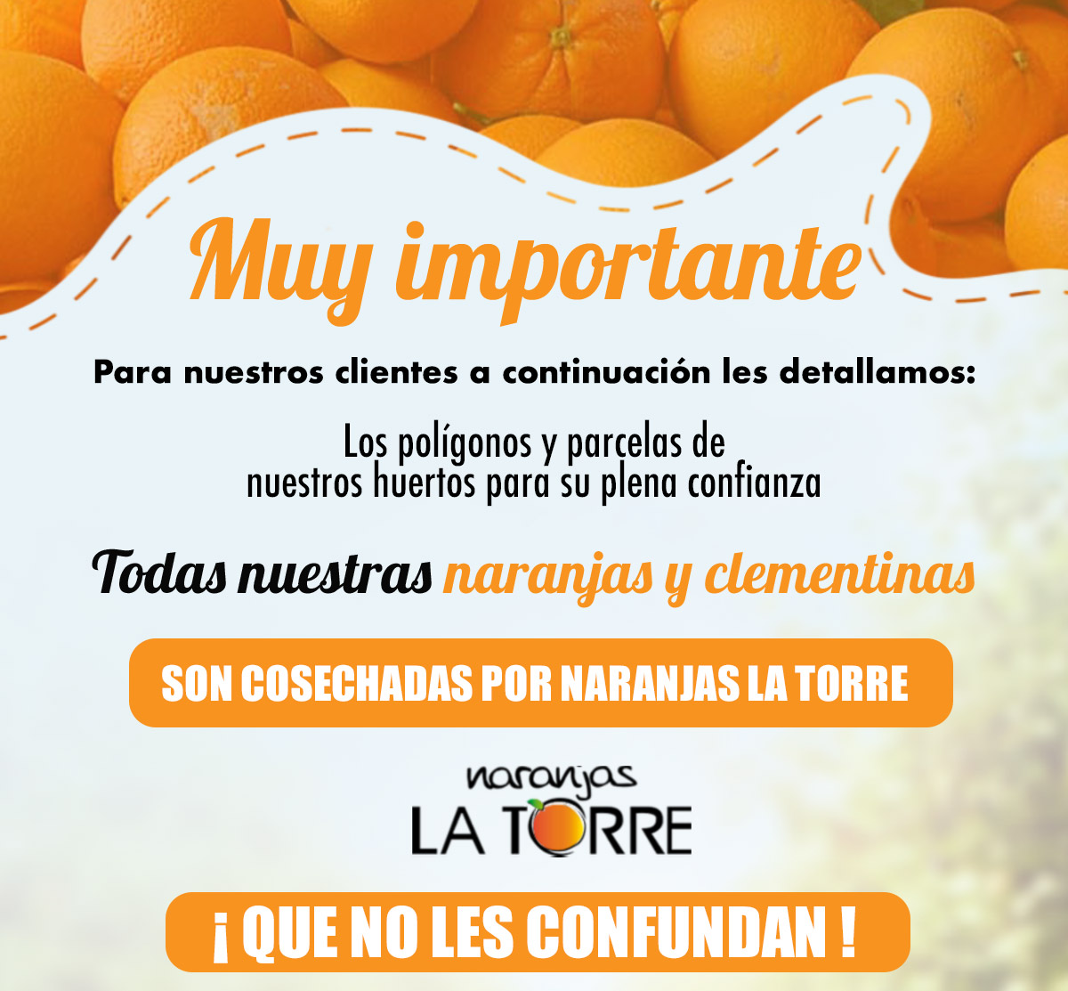 naranjas online